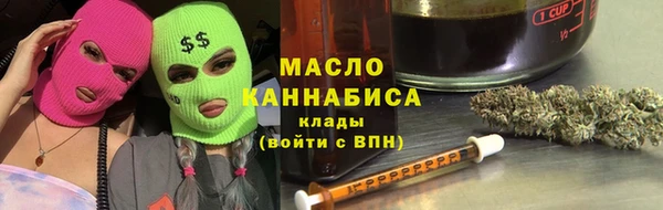 гидра Богородск