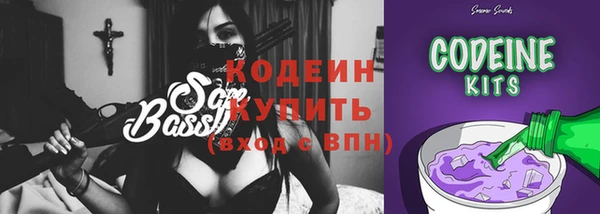 гидра Богородск
