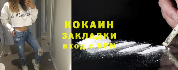 гидра Богородск