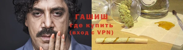 дмт Богданович
