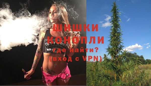 дмт Богданович