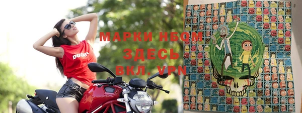 дмт Богданович