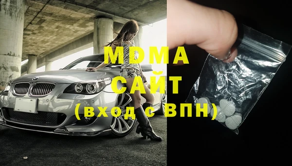 дмт Богданович