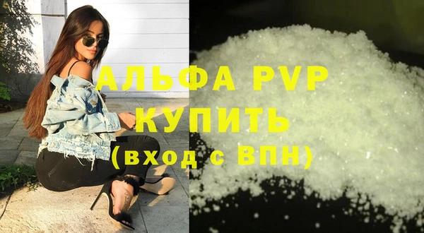 гидра Богородск