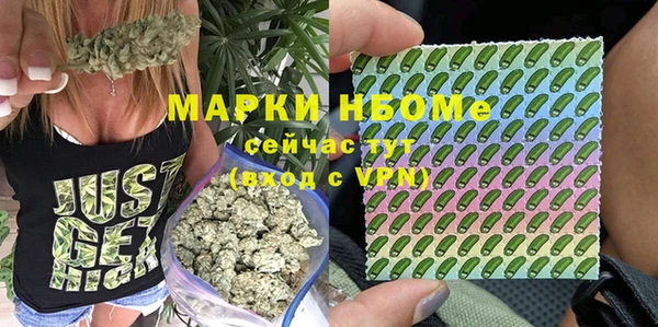 дмт Богданович