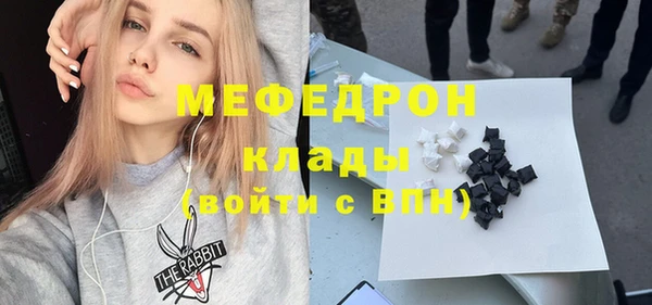 гидра Богородск